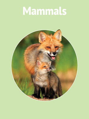 cover image of Mammals
